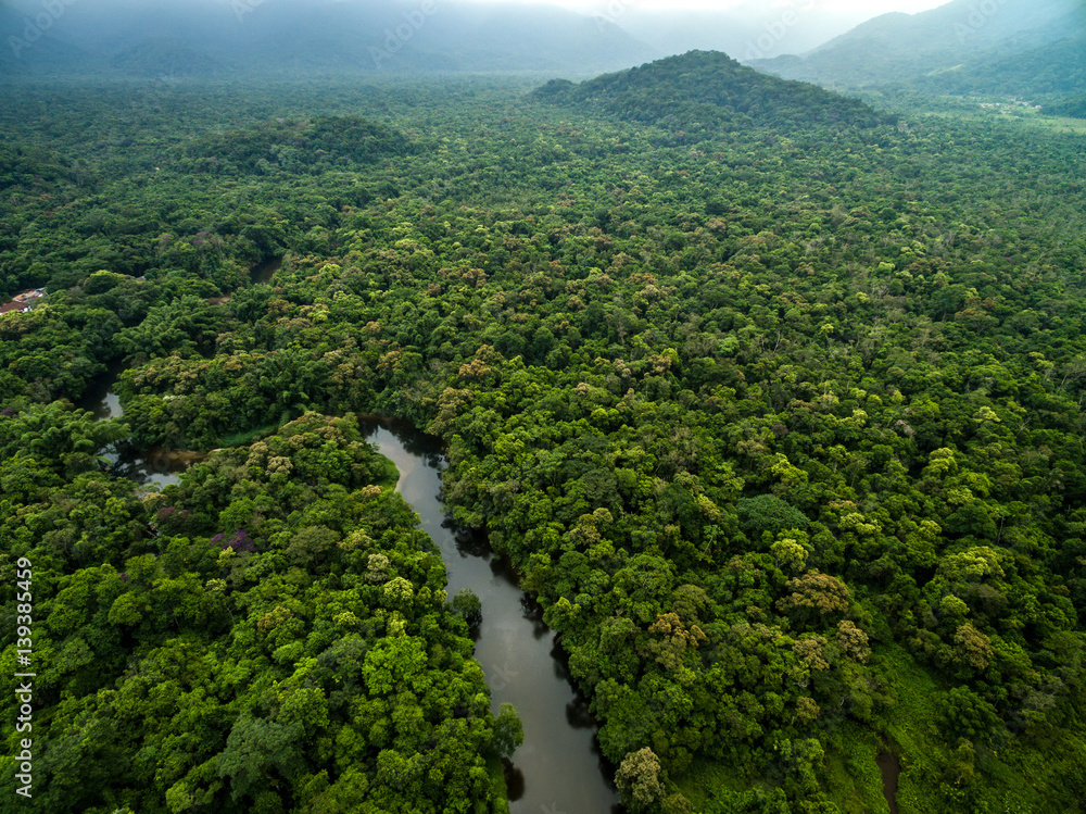 deforestazione - La foresta pluviale della Repubblica Democratica del Congo